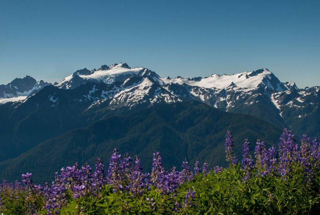 Mount Olympus Spring